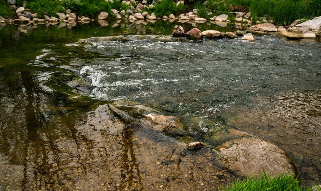 Archie Coulter Conservation Area | 46900 Brouwers Line, Aylmer, ON N5H 2R4, Canada | Phone: (519) 773-9037