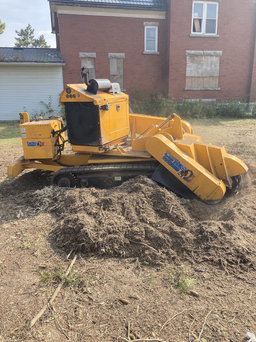 Complete Stump & Tree Removal Inc. | 457 Regency Crescent, Waterloo, ON N2T 1P2, Canada | Phone: (519) 590-8178