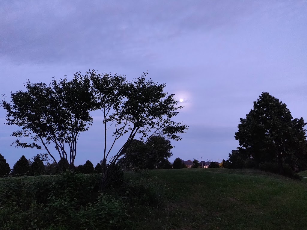 Russell Farm Park | 290 Bantry Ave, Richmond Hill, ON L4B 4M7, Canada | Phone: (905) 771-8800
