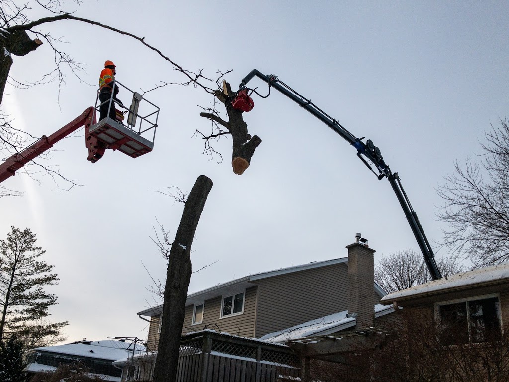 Florapine Tree Service Inc. | 8768 ON-6, Arthur, ON N0G 1A0, Canada | Phone: (519) 669-1836
