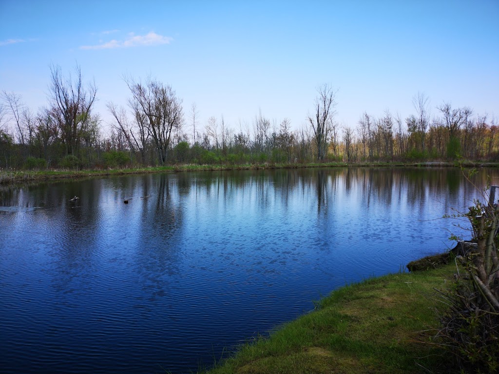 Island Park Rv Resort | 9 Island Park Rd, Stirling, ON K0K 3E0, Canada | Phone: (613) 395-2522