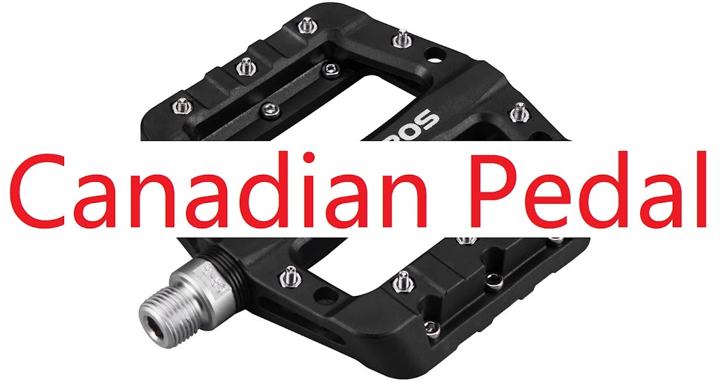 Canadian Pedal Inc. | 16 Houndtrail Dr, Scarborough, ON M1C 4J8, Canada | Phone: (416) 300-1000