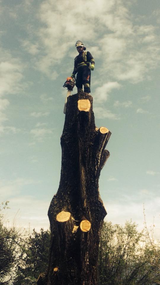 Joe Skillen Tree Services Ltd. | 42244 Yarrow Central Rd, Chilliwack, BC V2R 5H8, Canada | Phone: (604) 858-9376