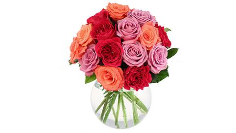 Sweet Stems Inc | florist | 355 Main Rd, Goulds, NL A1S 1G3, Canada | 7093687836 OR +1 709-368-7836