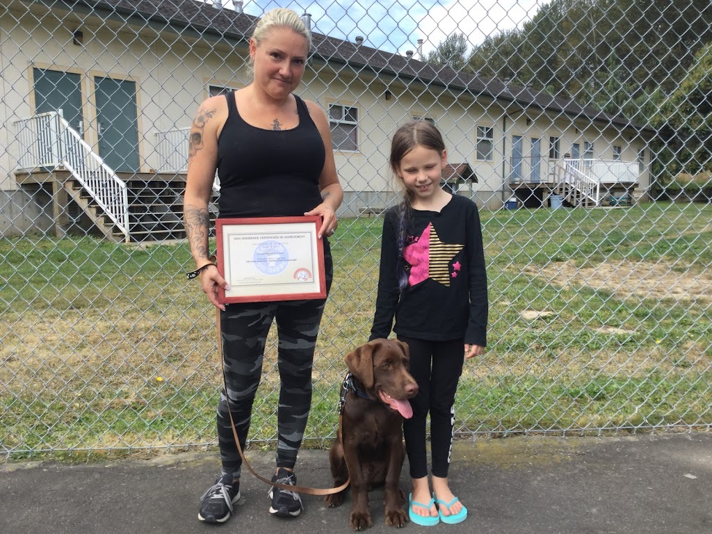 Confident K9 Academy | 4121 Columbia Valley Rd, Cultus Lake, BC V2R 5B7, Canada | Phone: (604) 378-9512