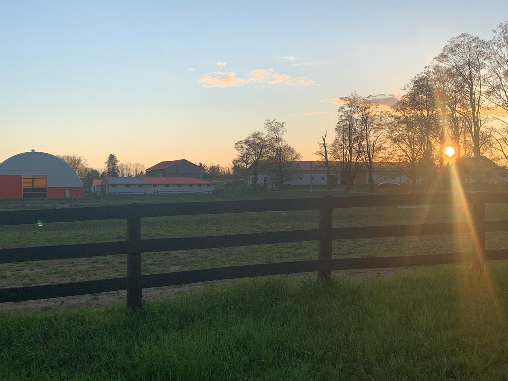 Piccadilly Acres Farm | 3706 Rundle Rd, Bowmanville, ON L1C 3K4, Canada | Phone: (905) 243-0488