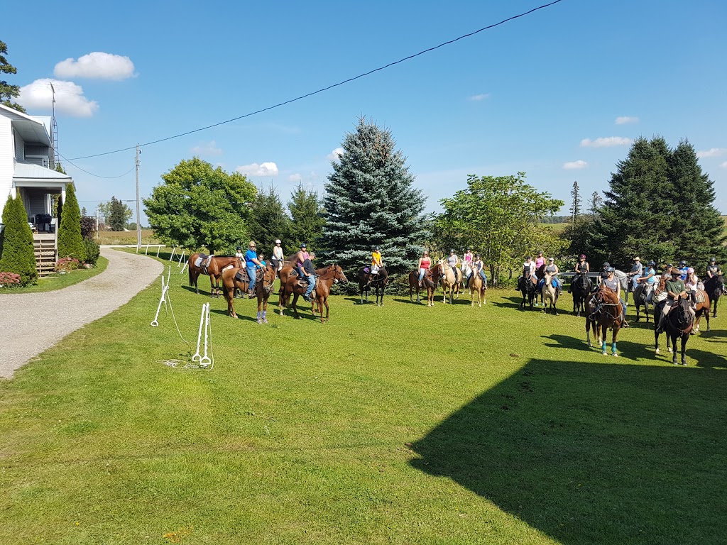 Jds Tack Room ~ please call or text to make an appointment | 999 Con 4 E, Chepstow, ON N0G 1K0, Canada | Phone: (519) 881-7727