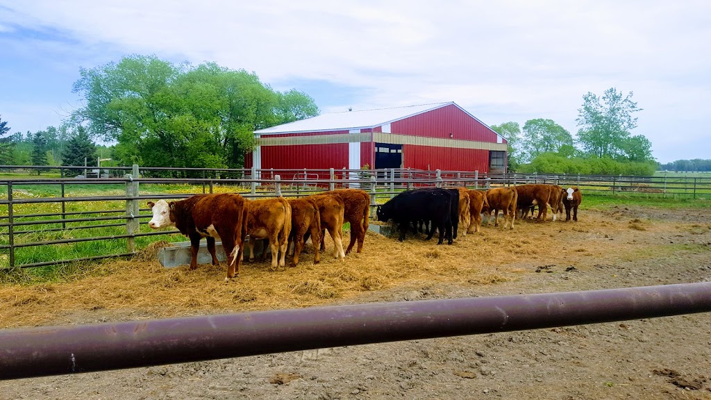 Oakwood Stables | Oakwood Rd 64N, Oakbank, MB R0E 1J0, MB R0E 1J3, Canada | Phone: (204) 224-4048