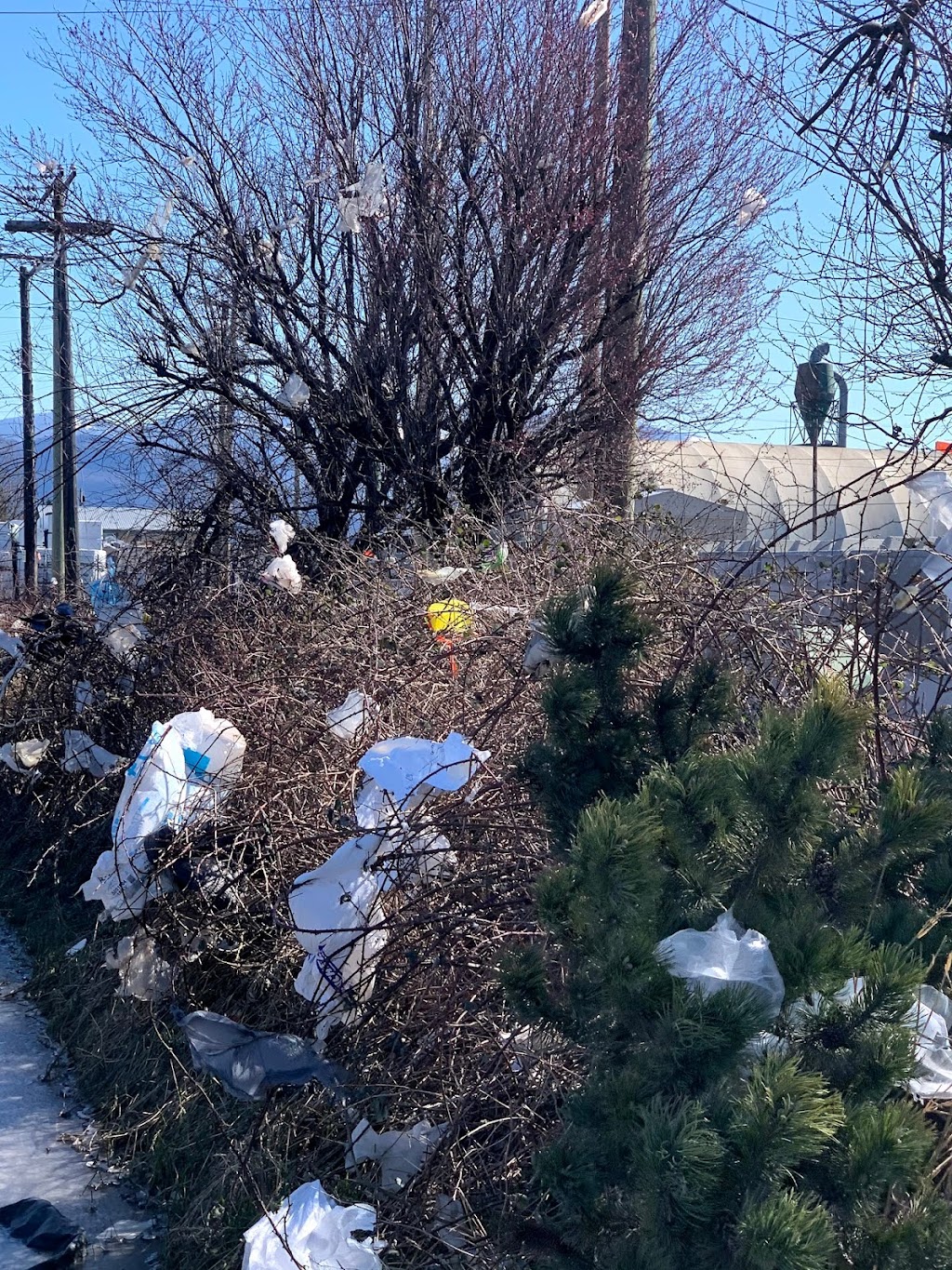 First Class Waste Services | 8526 Chilliwack Mountain Rd, Chilliwack, BC V2R 3W8, Canada | Phone: (604) 823-2116