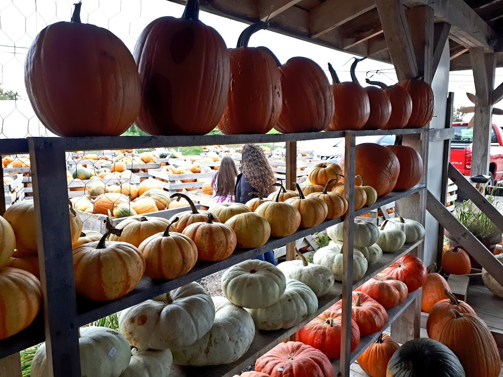 Green Pig Country Market Ltd | 2927 Fredericton Rd, Salisbury, NB E4J 2E6, Canada | Phone: (506) 372-5640