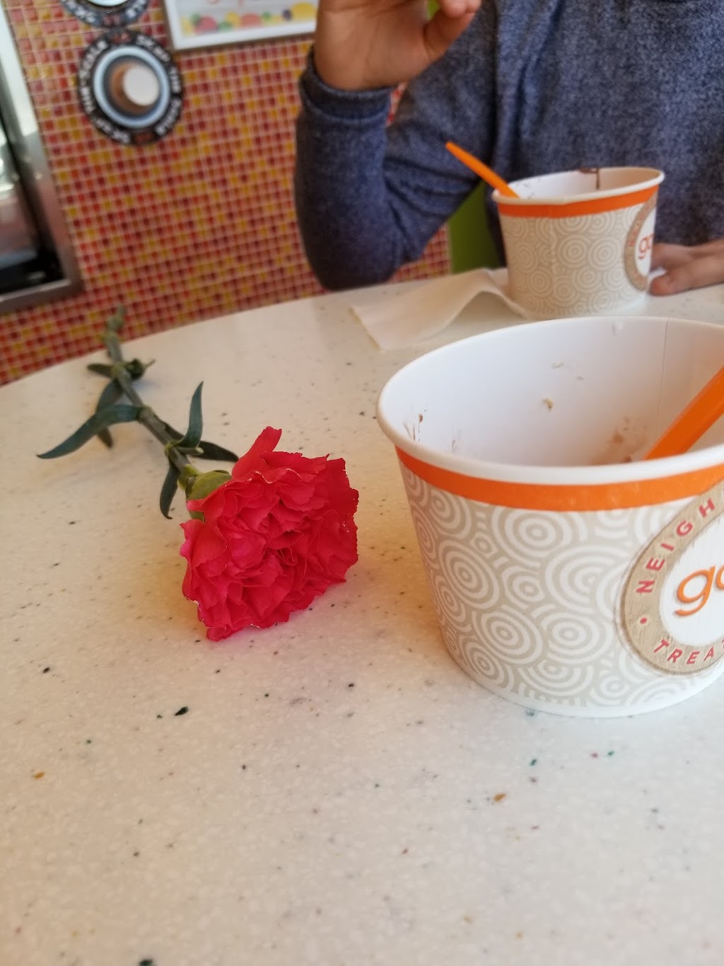 Gojis Frozen Yogurt | Stellarton, NS B0K 0A2, Canada | Phone: (902) 695-4654