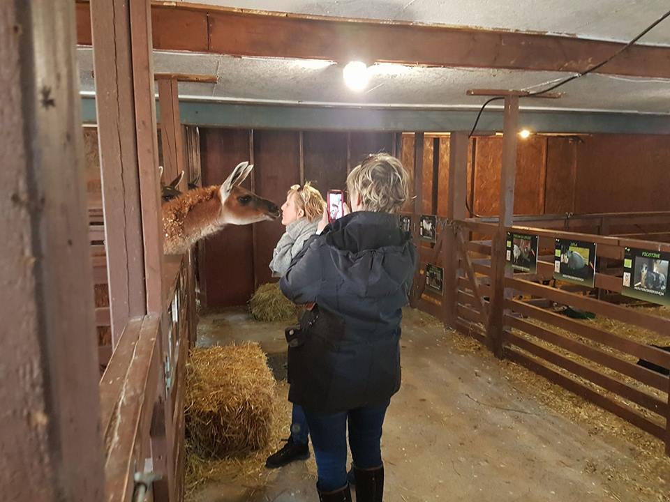 Ferme du Domaine Quinchien | 552 Route de Lotbinière, Vaudreuil-Dorion, QC J7V 0H4, Canada | Phone: (438) 837-9808