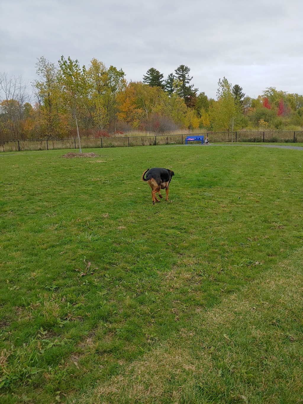 Coyote Trail Park | 1829 Trim Rd, Orléans, ON K4A 3P6, Canada | Phone: (613) 580-2400
