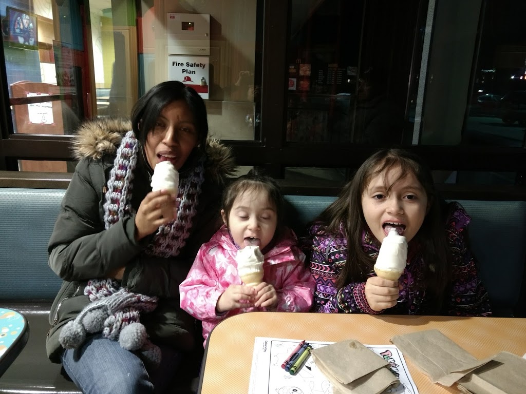 McDonalds | 214 Talbot St W, Leamington, ON N8H 1P1, Canada | Phone: (519) 326-1311
