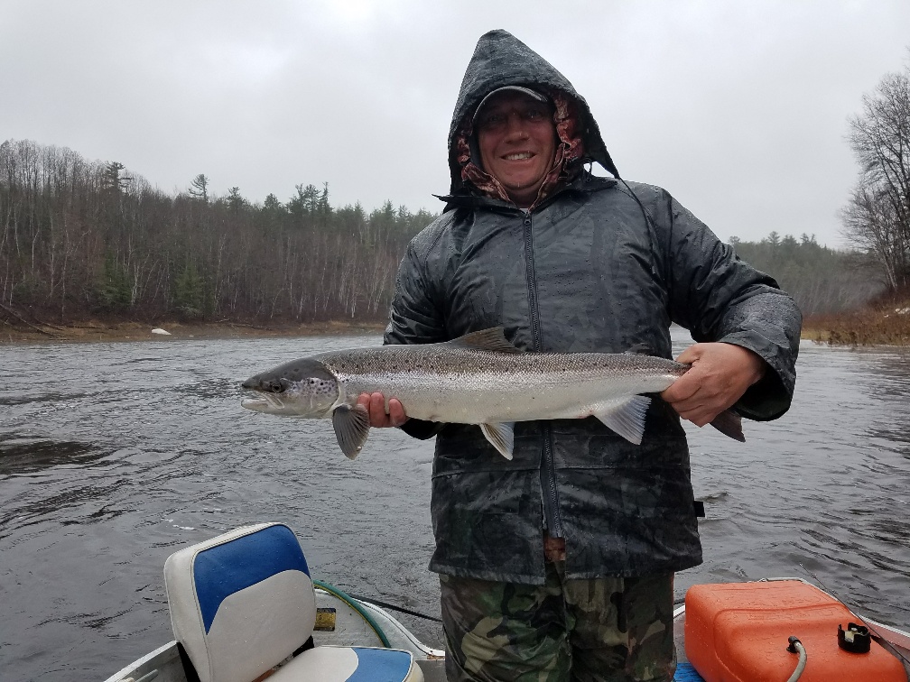 Absolute Outfitters | 48 Kersey Lane Route 118 Hwy, Doyles Brook, NB E9E 2H8, Canada | Phone: (506) 622-3235