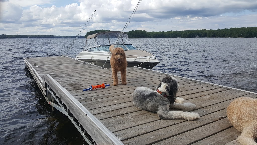 Campbells Landing Marina Limited | 1956 Muskoka District Road 169, Gravenhurst, ON P1P 1R2, Canada | Phone: (705) 687-3821