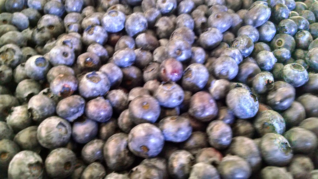 Hannah Blueberries | 7892 Enterprise Rd, Ferndale, WA 98248, USA | Phone: (360) 366-1070