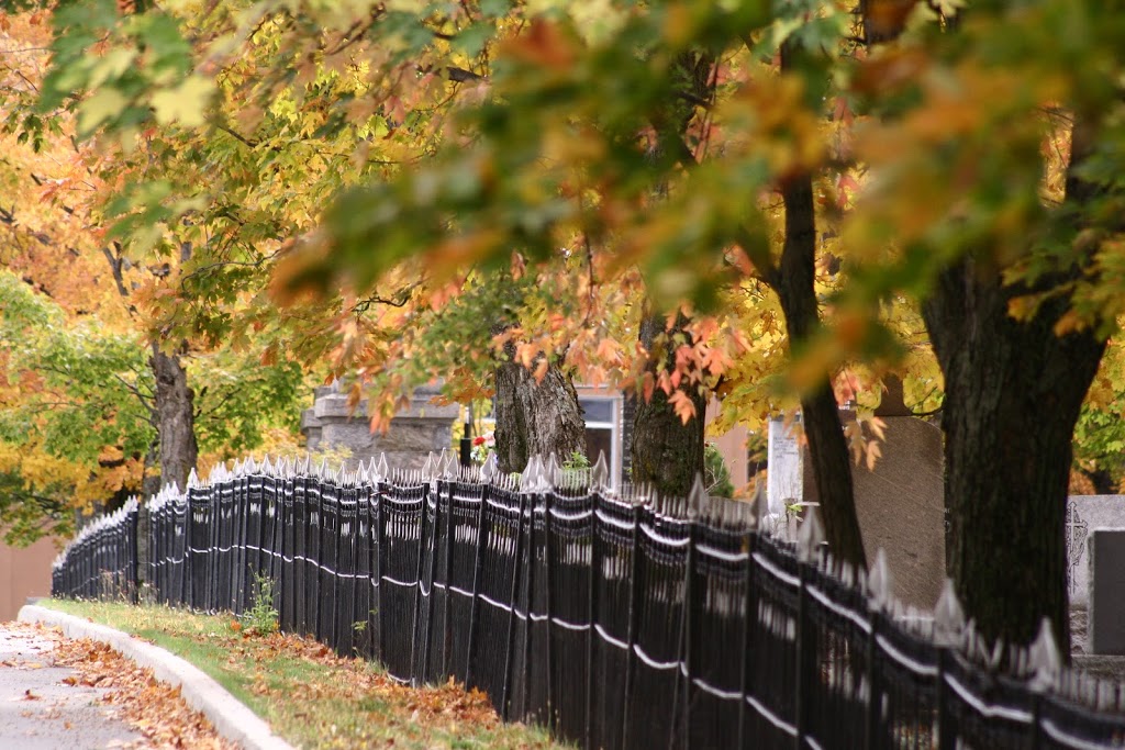 Cimetière de Montmagny | Montmagny, QC G5V, Canada
