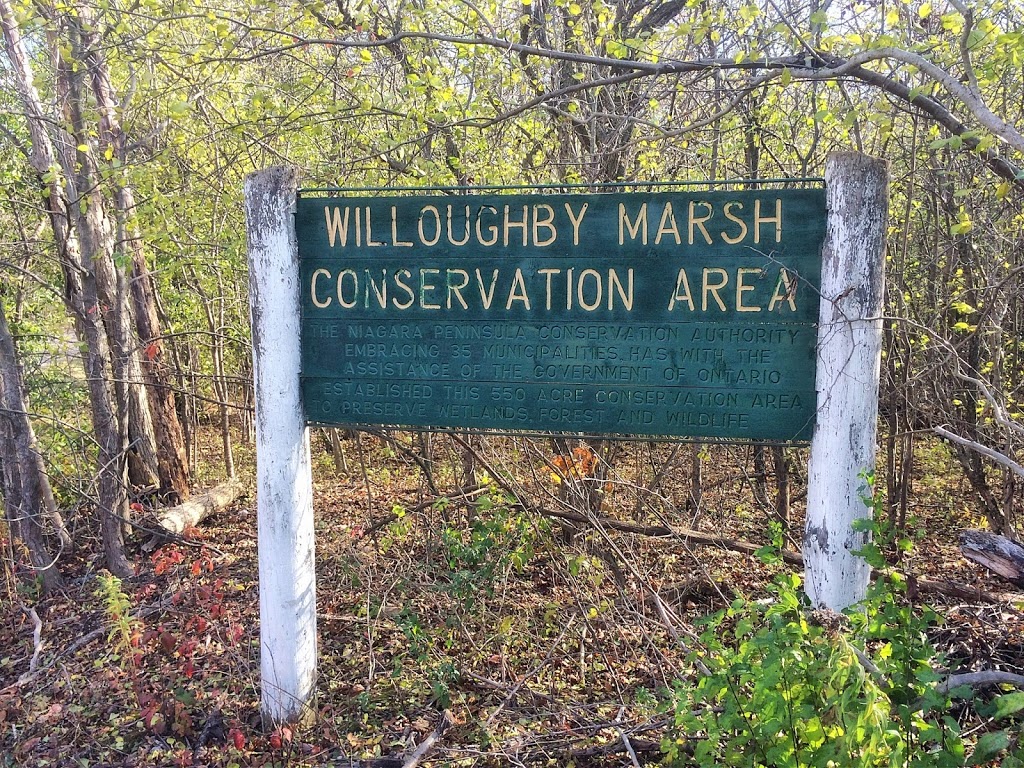 Willoughby Marsh Conservation Area | Sauer Rd, Niagara Falls, ON L3B 5N4, Canada | Phone: (905) 788-3135