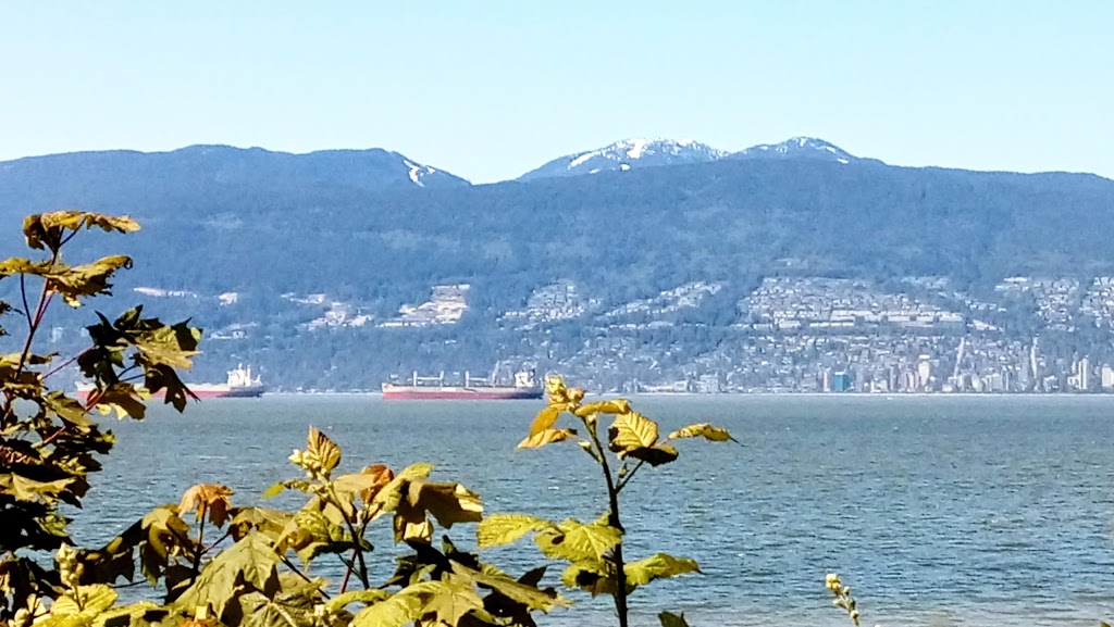 Volunteer Park | 2855 Point Grey Rd, Vancouver, BC V6K 1A7, Canada | Phone: (604) 257-8400