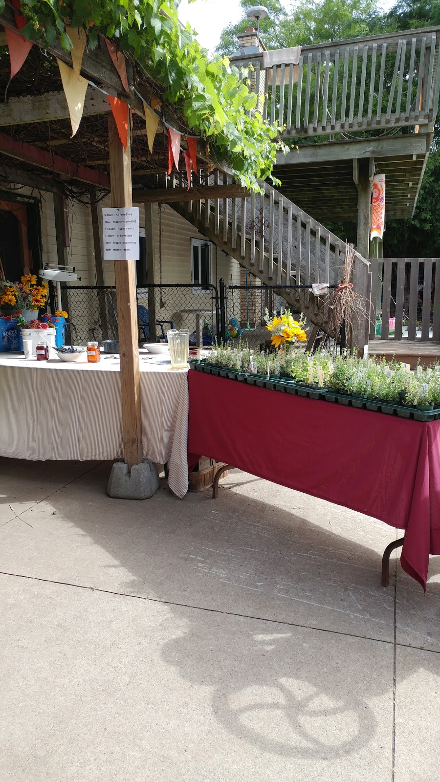Simpler Thyme Organic Farm | 1749 HWY 6 N, Hamilton, ON L8N 2Z7, Canada | Phone: (905) 659-1576