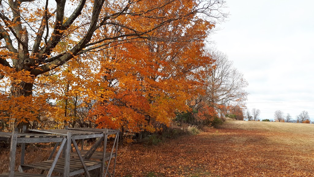 Geobern Farm - The James | 2634 Rosetta Rd, Lanark, ON K0G 1K0, Canada | Phone: (613) 256-1585