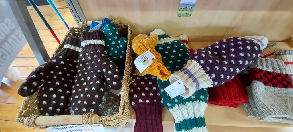 Lismore Sheep Farm & Wool Shop | 1389 Louisville Rd, River John, NS B0K 1N0, Canada | Phone: (902) 351-2594