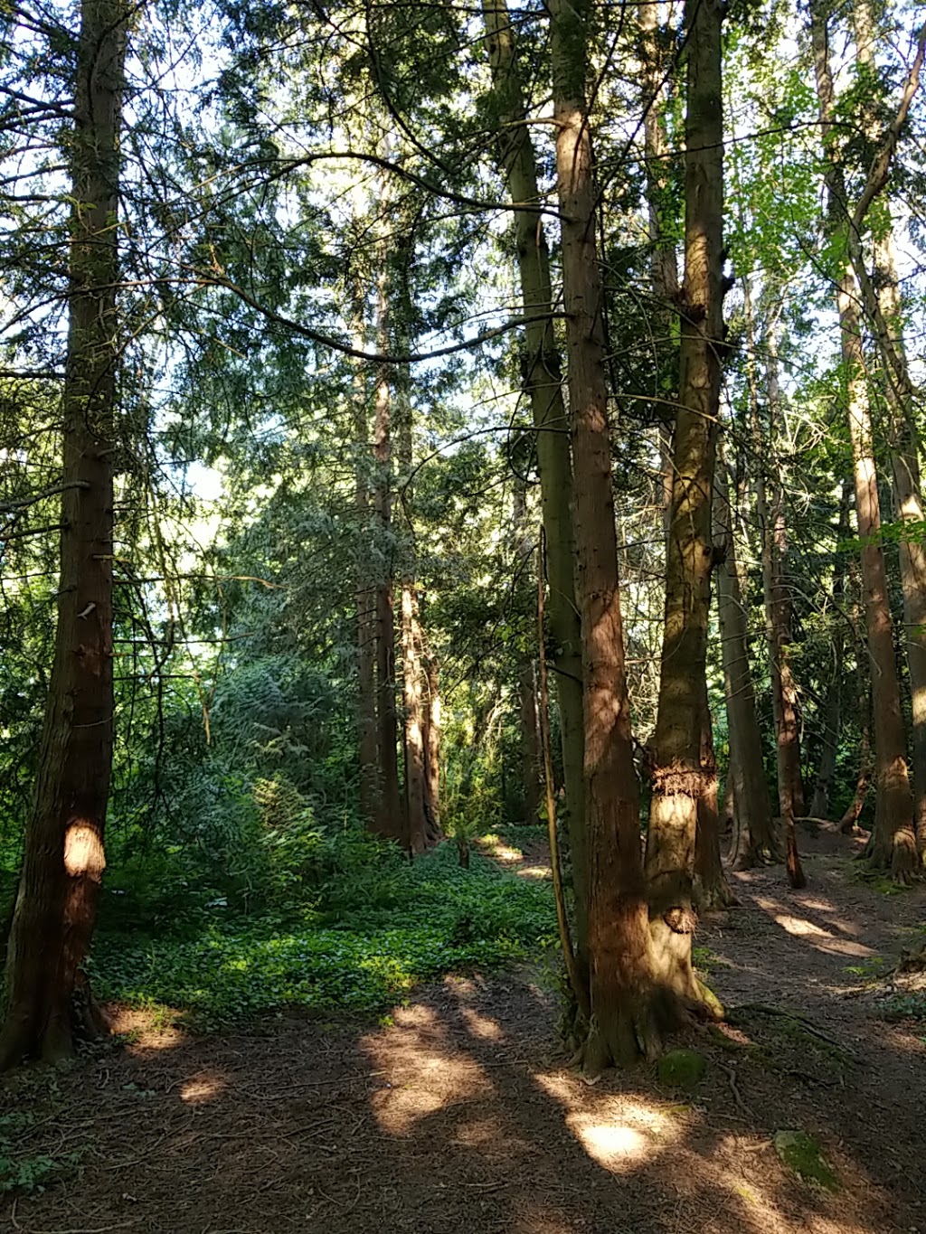 lubbocks woods park | 7803 Burris St, Burnaby, BC V5E 3M9, Canada