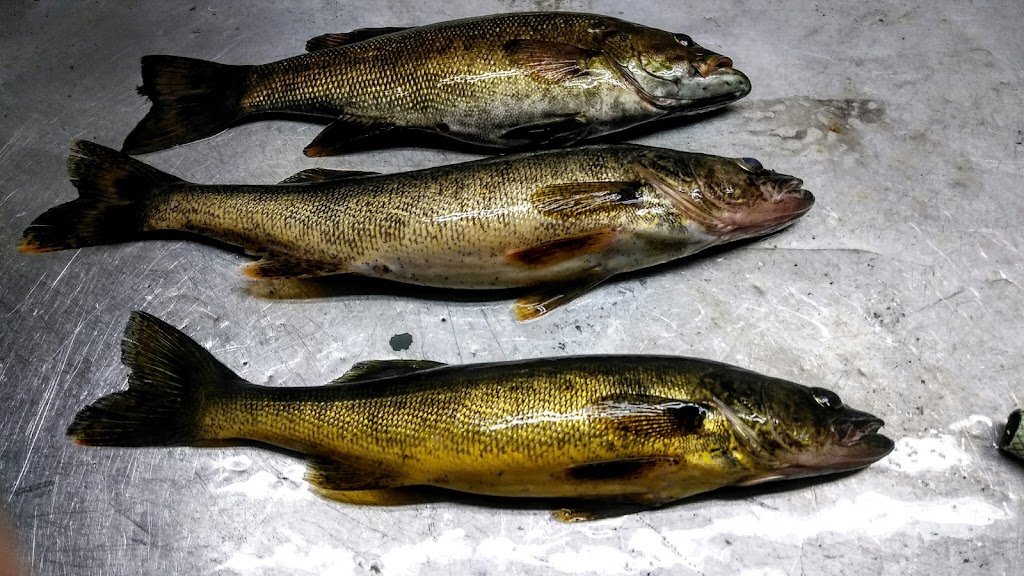 Olive The Lake Lodge | 12 Richfield Road, Marten River, ON P0H 1T0, Canada | Phone: (705) 892-2204