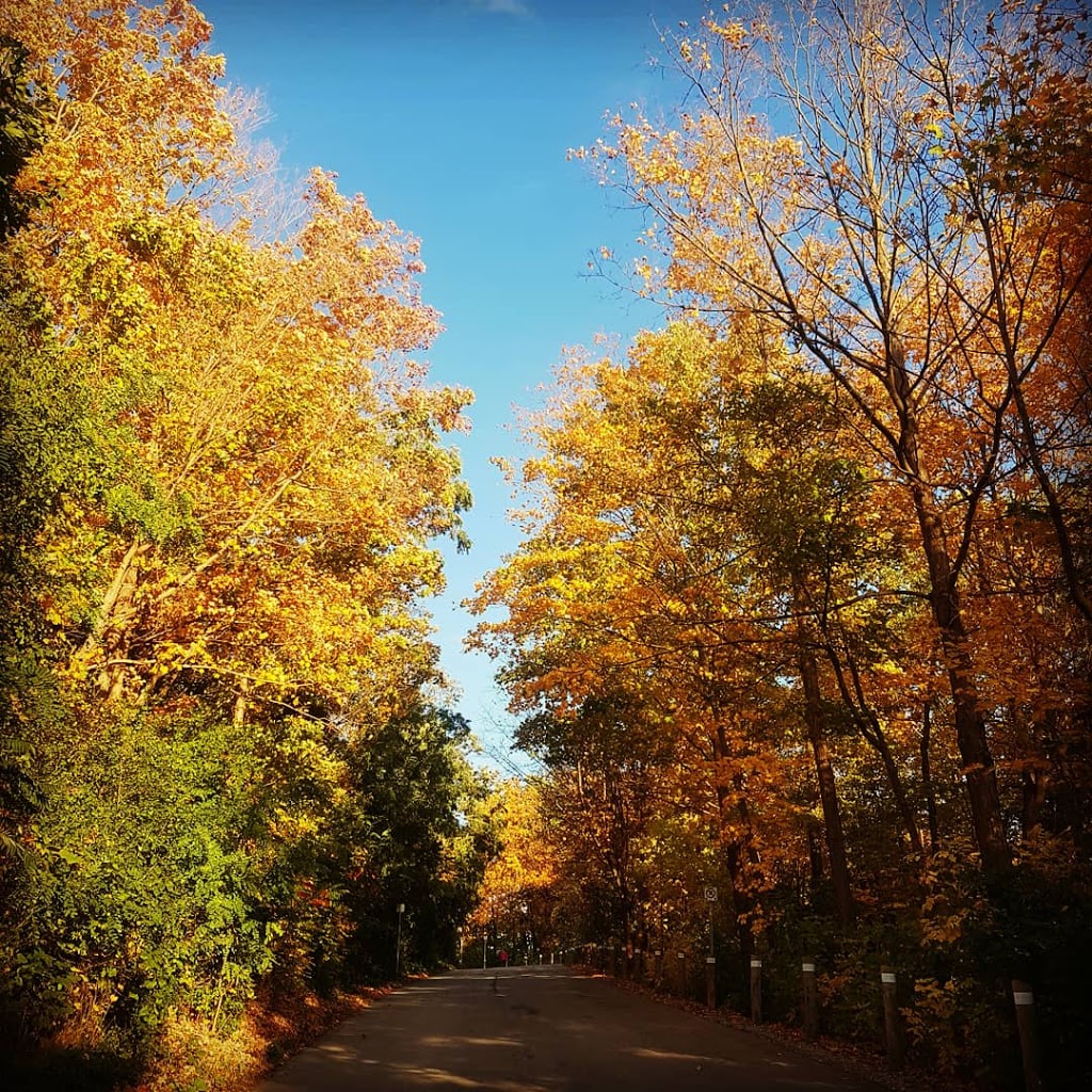 Lions Valley Park | 2417 Fourth Line, Oakville, ON L6H 6W8, Canada | Phone: (905) 845-6601