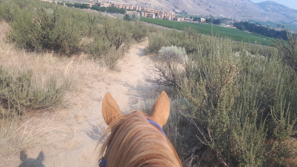 Indian Grove Riding Stables | 600 Rancher Creek Rd, Osoyoos, BC V0H 1V6, Canada | Phone: (250) 495-7555