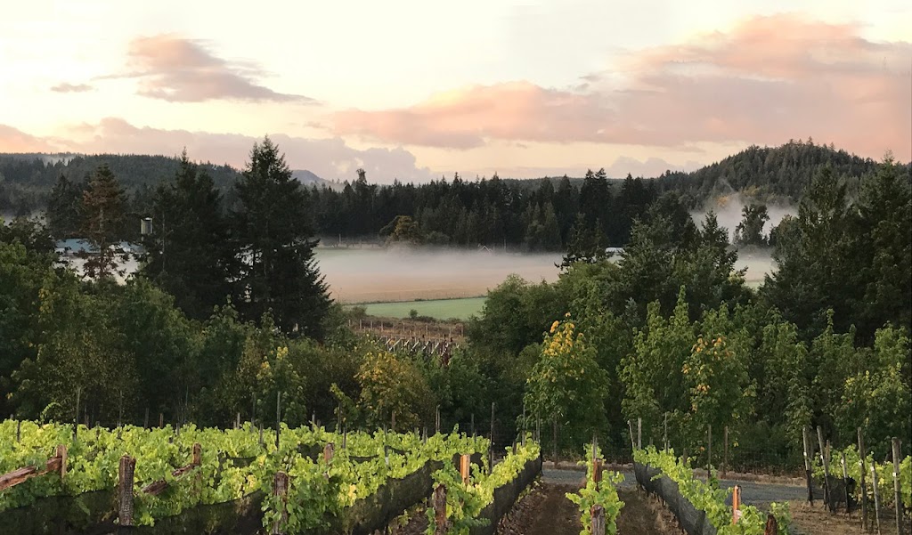 Blue Grouse Estate Winery | 2182 Lakeside Rd, Duncan, BC V9L 6M3, Canada | Phone: (250) 743-3834