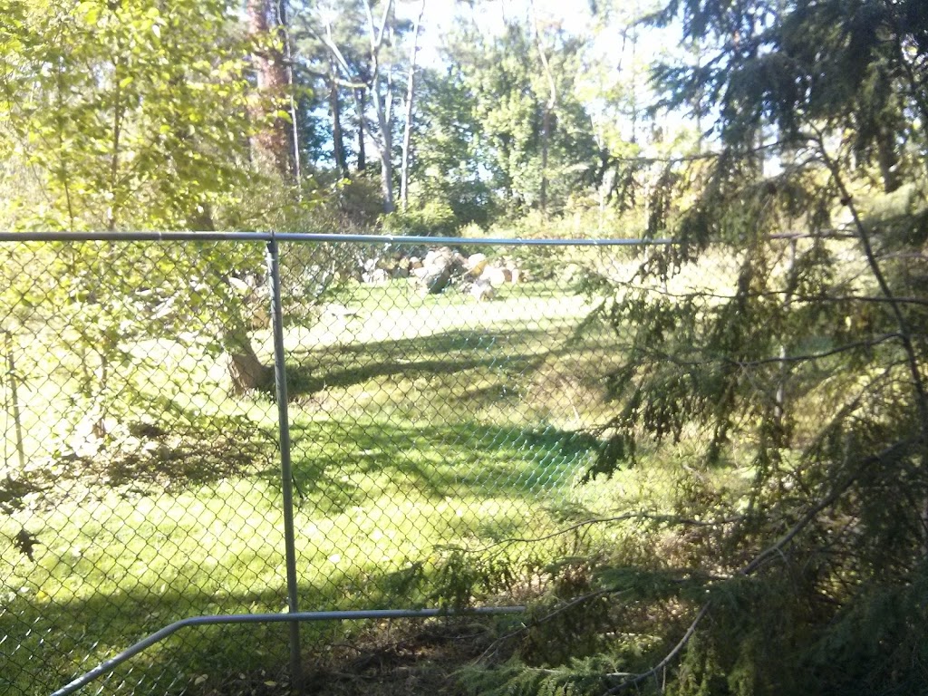 Pinecrest Property Maintenance | 240 Clarence St, Port Colborne, ON L3K 3G6, Canada | Phone: (289) 990-8056