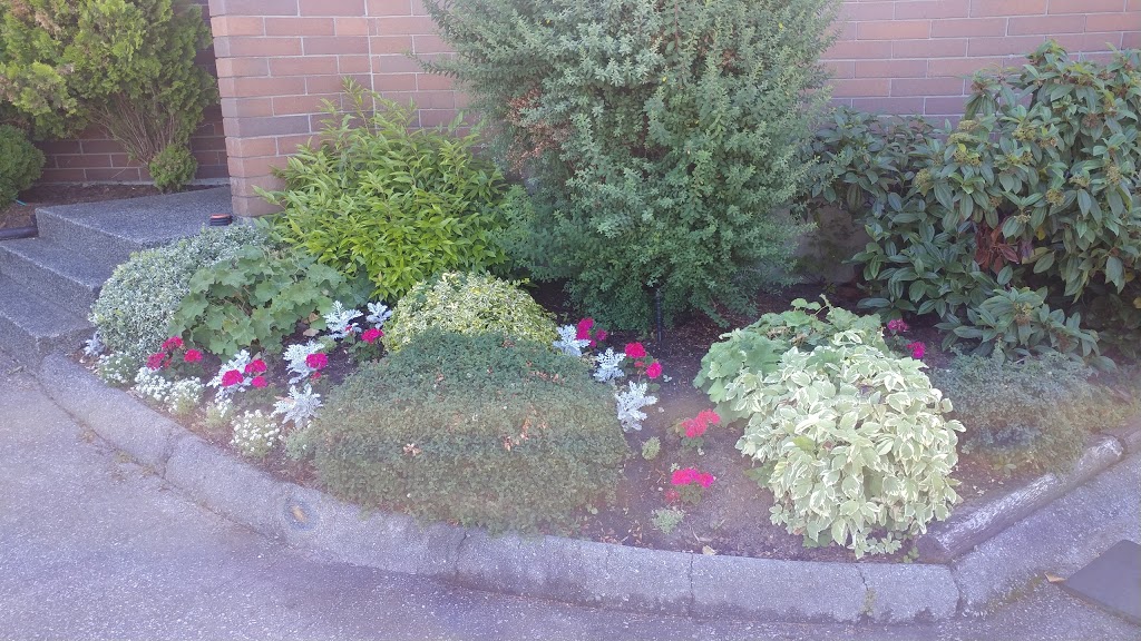 Sung-An Presbyterian Church | 948 Como Lake Ave, Coquitlam, BC V3J 7P9, Canada | Phone: (778) 899-1510