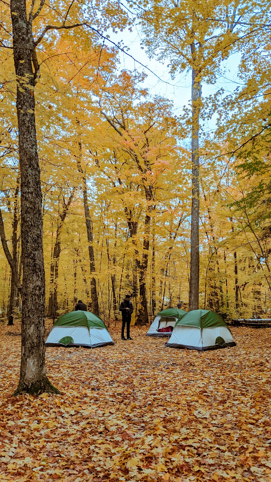 Carefree Camping Rentals | 279 Gill St, Orillia, ON L3V 4K3, Canada | Phone: (705) 826-1075