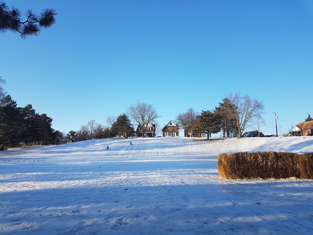 Hillside Park | 15 Hill St, Kitchener, ON N2H 5T4, Canada