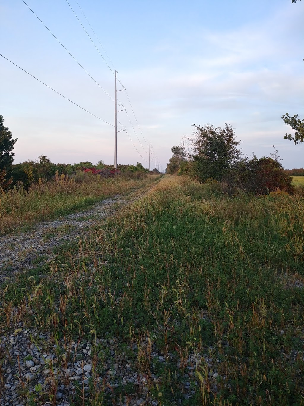 Beyond The Trail | 7186 9 Line, Chatham, ON N7M 5J6, Canada | Phone: (226) 626-0936