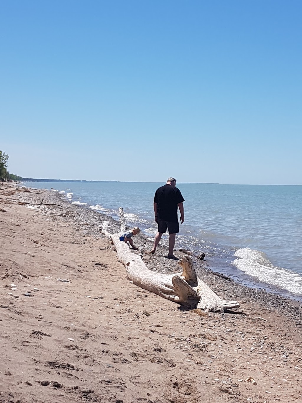 Pinery Provincal Park Dog Beach Area 1 | Lambton Shores, ON N0M 1T0, Canada