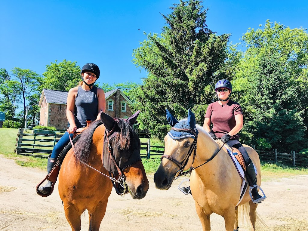 Brightside Equestrian Centre | point of interest | 398141 Concession Rd 10, Owen Sound, ON N4K 5N8, Canada | 5199259641 OR +1 519-925-9641