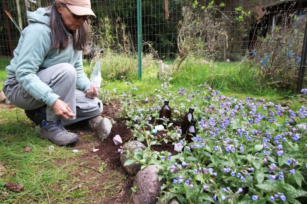 Tree Frog Farm | 3679 Sunrise Rd, Lummi Island, WA 98262, USA | Phone: (360) 758-7260