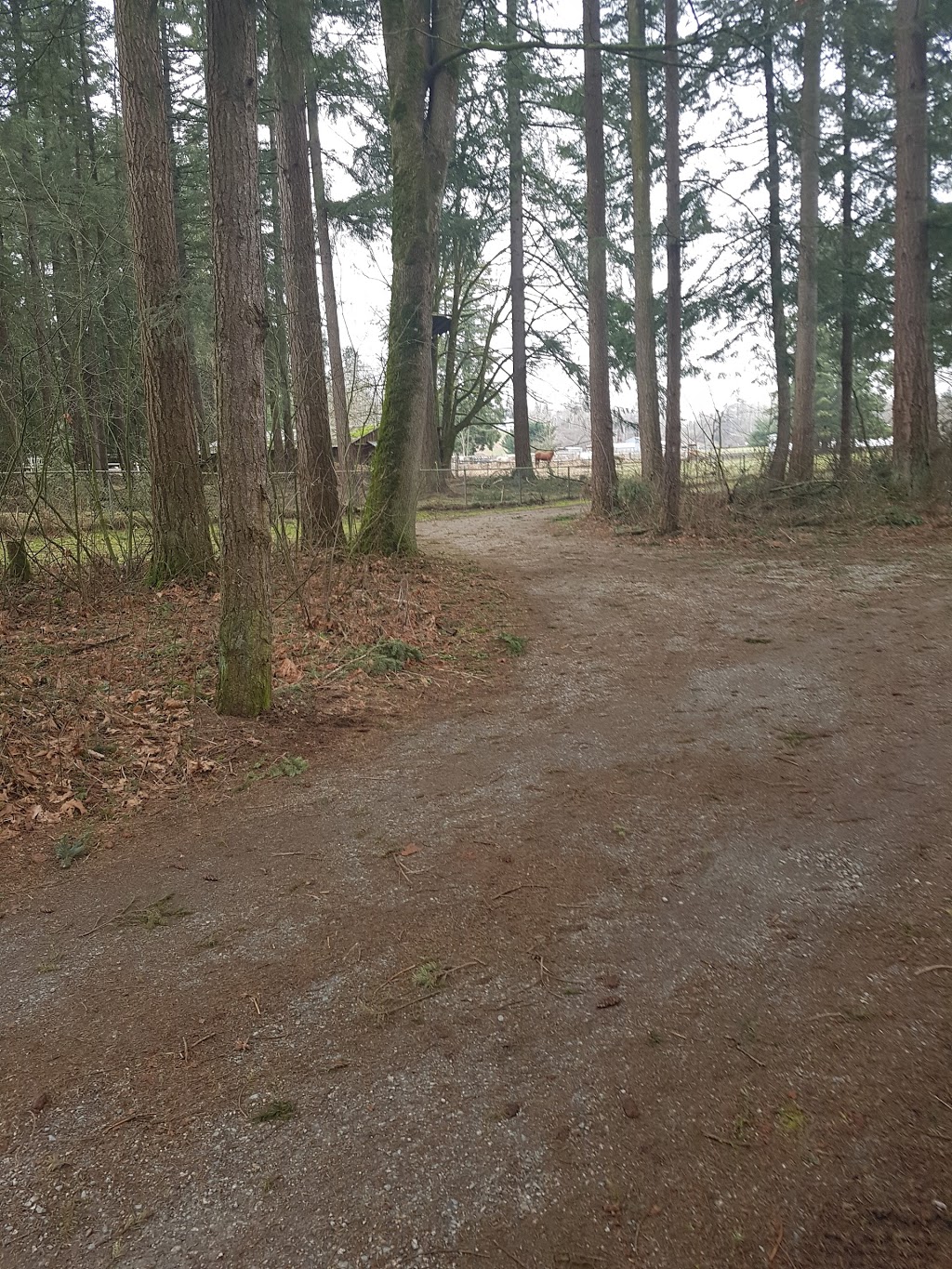 Otter Park | 2014-2066 Otter Rd, Aldergrove, BC V4W 2B7, Canada