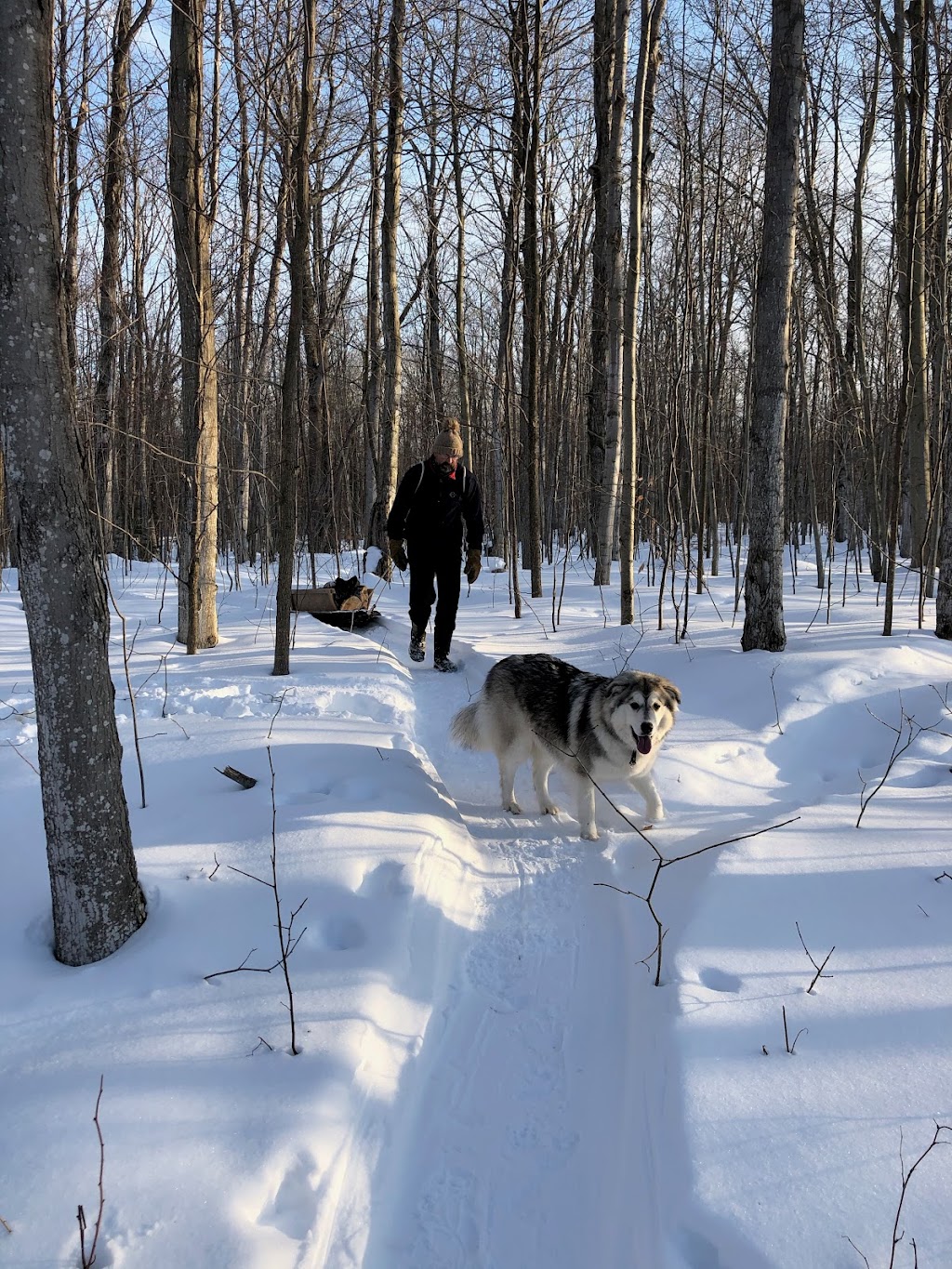 Atelier Arboreal | Highway #6, Wiarton, ON N0H 2T0, Canada | Phone: (226) 668-3030