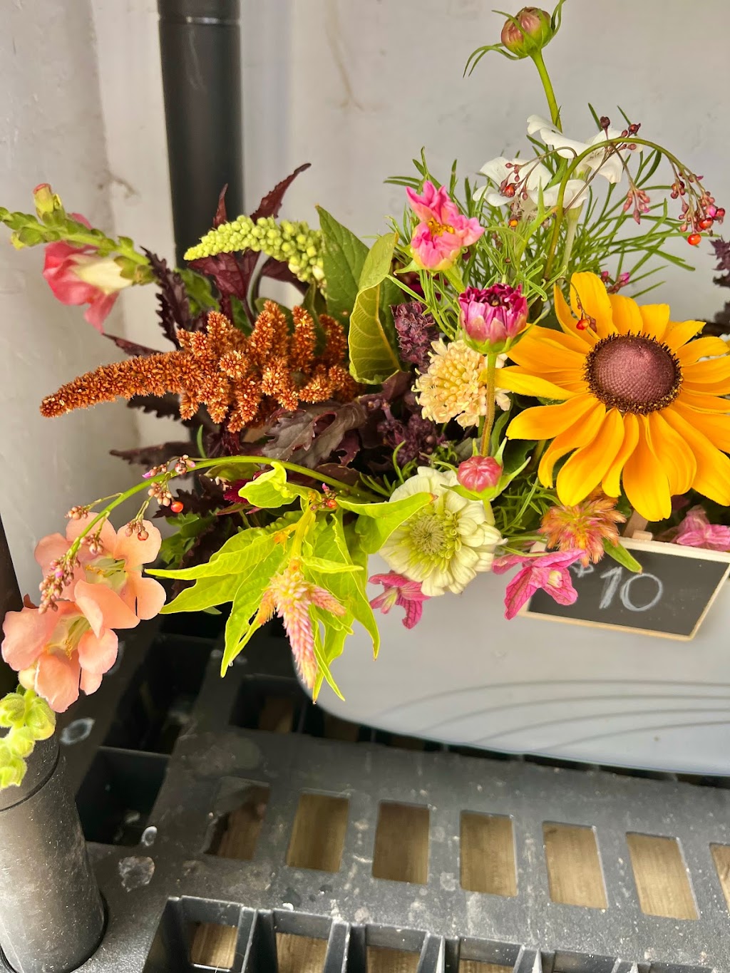 Wildflower Greenhouse Studio | 182042 Rge Rd, 182024 Range Rd 142 #142, Newell County No. 4, AB T1R 1C6, Canada | Phone: (403) 376-2085