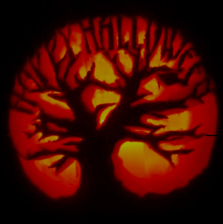 Rockwood Forest Nurseries | 437 Mark Rd, Cameron, ON K0M 1G0, Canada | Phone: (705) 374-4700