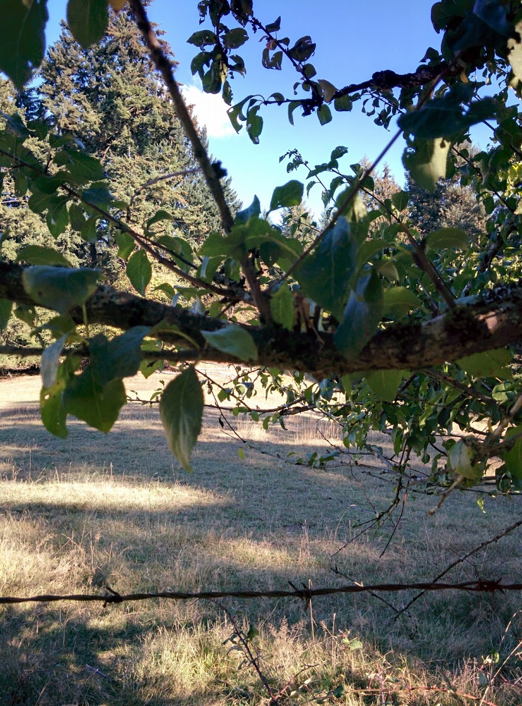 Keating Park | Cowichan Valley E, BC V9L 6R8, Canada | Phone: (250) 746-2620