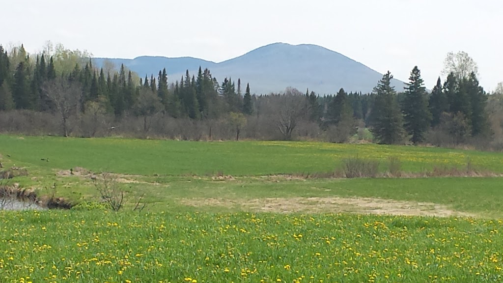 Erablière Des Chutes | 250 Rang des Chutes, Ham-Nord, QC G0P 1A0, Canada | Phone: (819) 344-5044