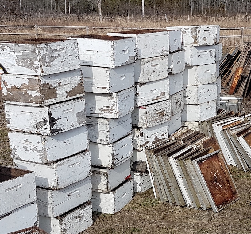 Lisa Bee | 594 Caton Rd, Bath, ON K0H 1G0, Canada | Phone: (613) 881-0749