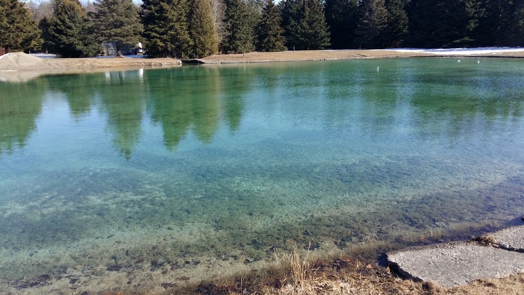 Whistle Bare Campground | 1912 Whistle Bare Rd, Cambridge, ON N1R 5S3, Canada | Phone: (519) 623-2463