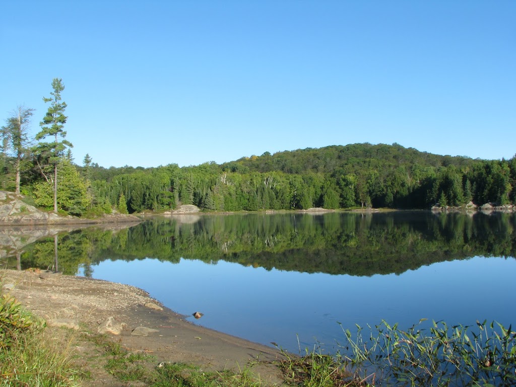 Municipality of Highlands East | 2249 Loop Rd, Wilberforce, ON K0L 3C0, Canada | Phone: (705) 448-2981