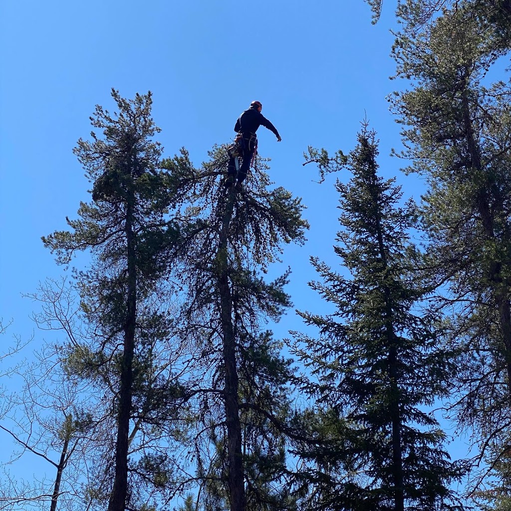Alpha Forestry Solutions | 71 Lynnwood Dr, Traverse Bay, MB R0E 2A0, Canada | Phone: (204) 782-2043